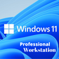 Microsoft Windows 11 Pro for Workstation ( 1PC)