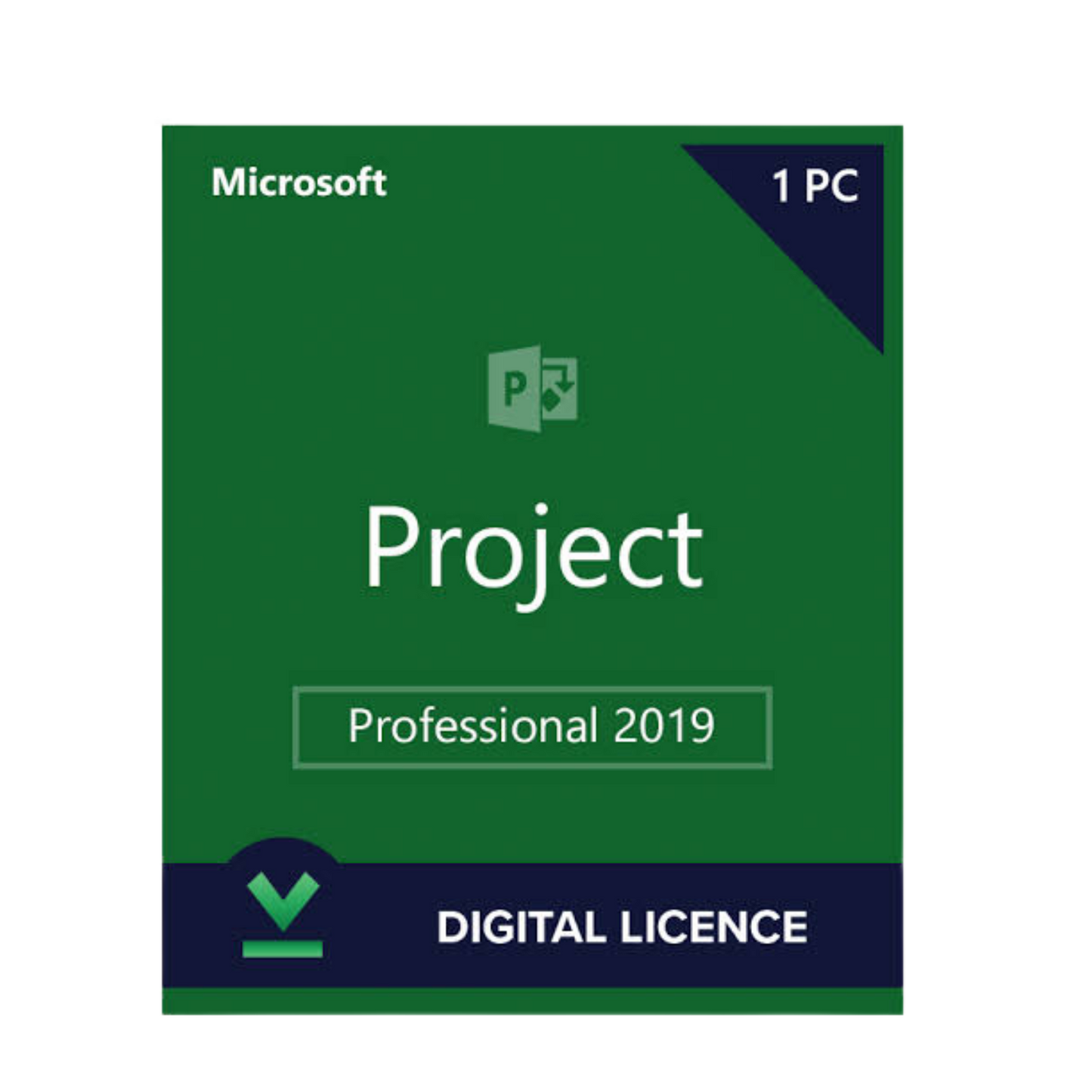 Microsoft Project 2019 Professional (1PC)