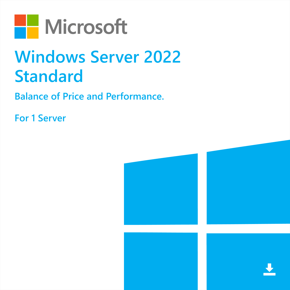 Microsoft Windows Server 2022 Standard 1PC