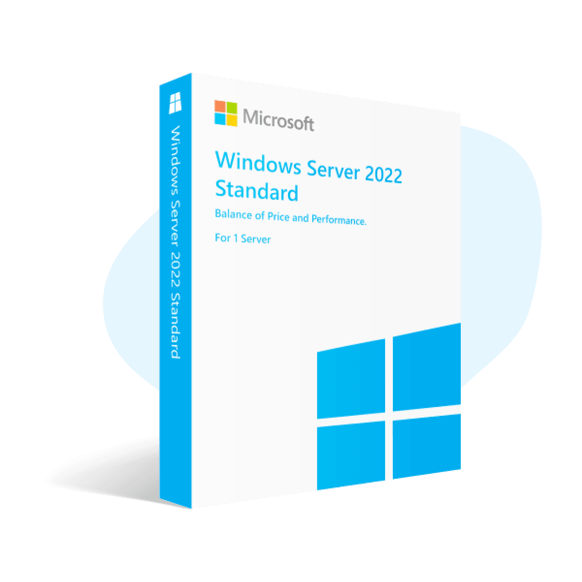 Microsoft Windows Server 2022 Standard 1PC