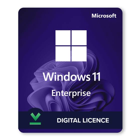 Microsoft Windows 11 Enterprise 64 Bit